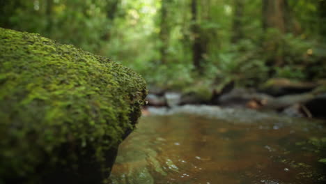 Fluss-Mit-Moos-Auf-Einem-Felsen-Im-Amazonaswald.-Saul-Französisch-Guayana